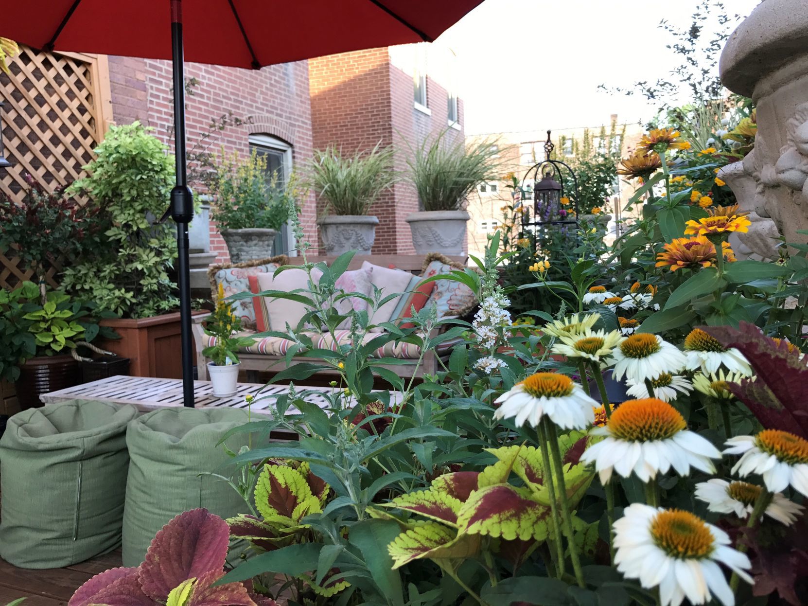 Patio Garden